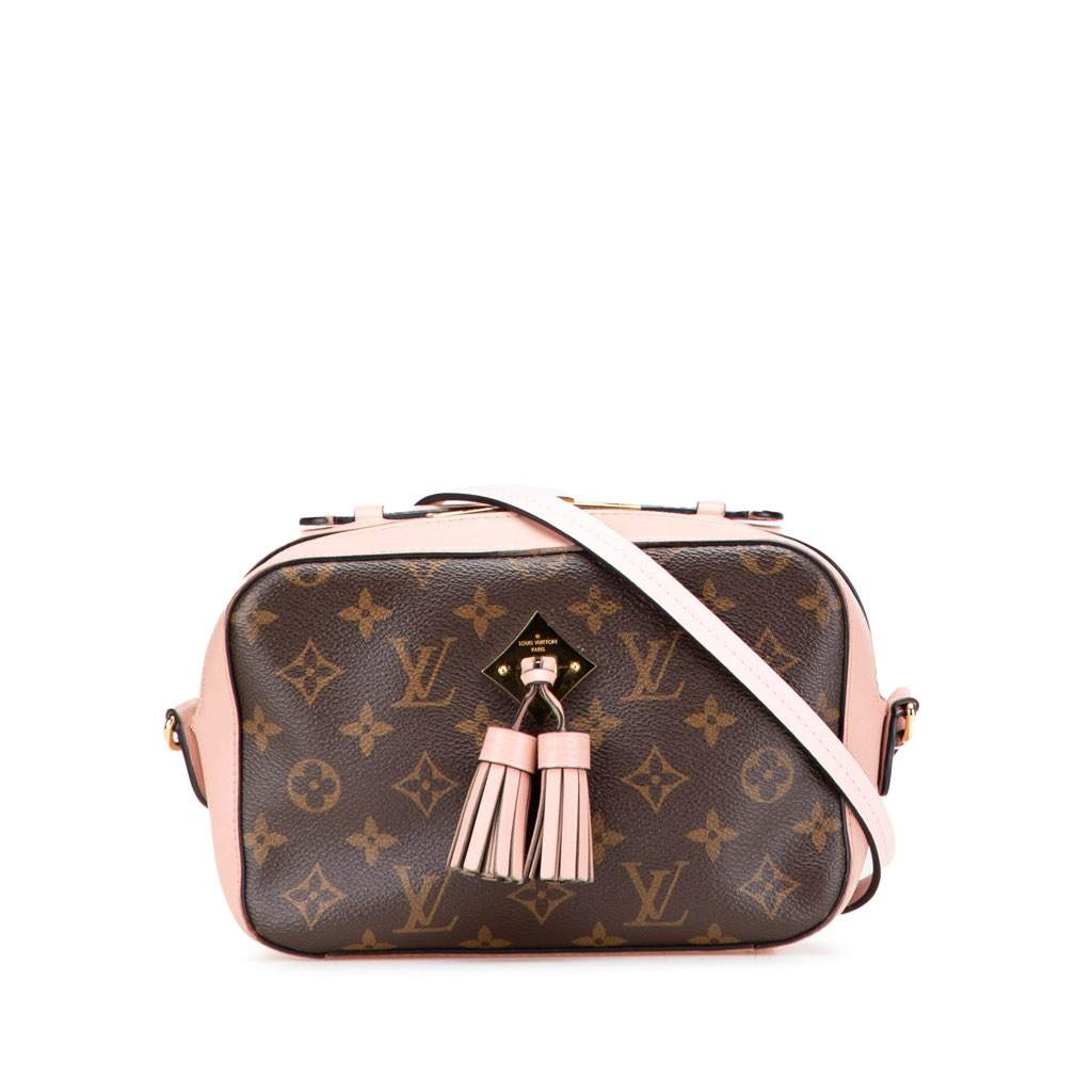 Louis Vuitton Monogram Saintonge Brown Canvas Good - Front View
