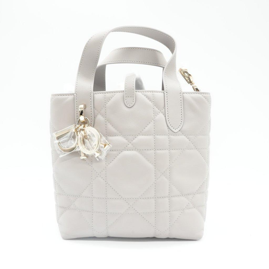 Dior Small Toujours Vertical Tote