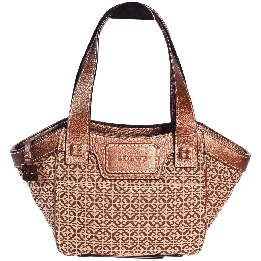Loewe حقيبة الجناس الناقص