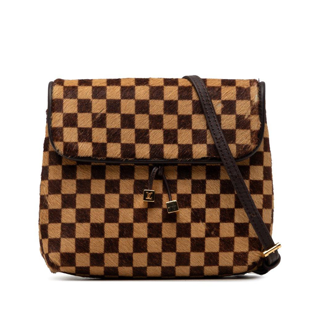 Louis Vuitton Damier Sauvage Gazelle