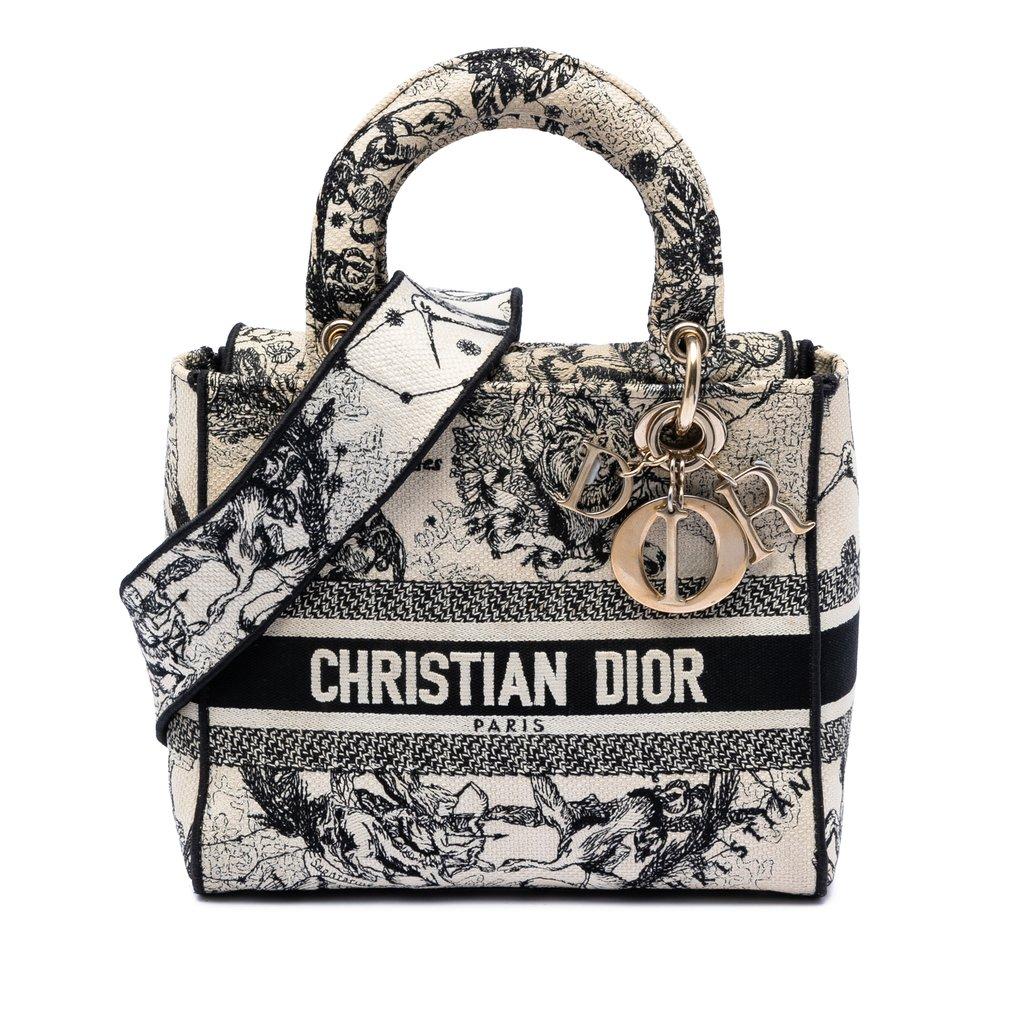 Dior لوحة قماشية مطرزة متوسطة الحجم بتصميم زودياك ليدي دي لايت