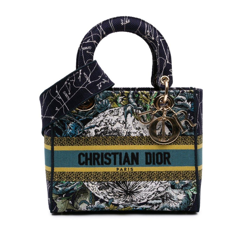 Dior لوحة قماشية مطرزة متوسطة الحجم بتصميم زودياك ليدي دي لايت