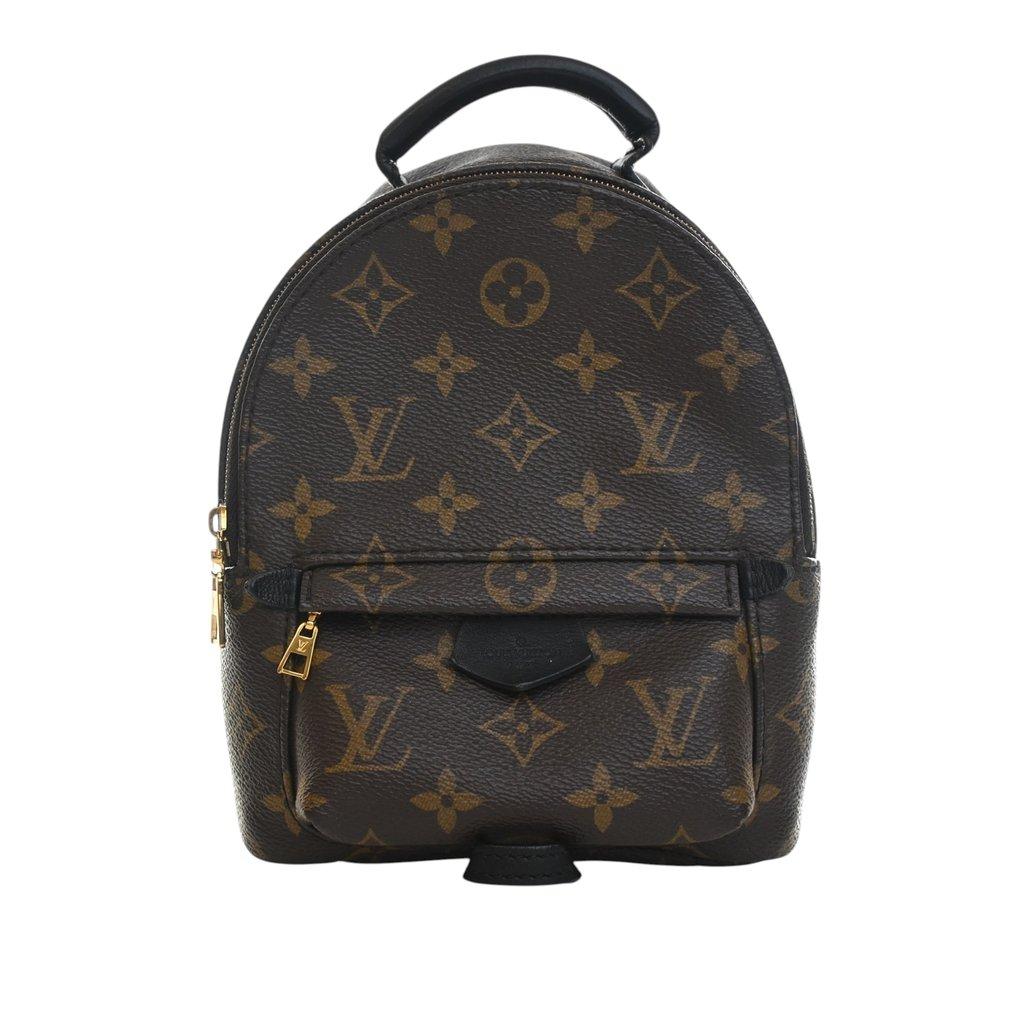 Louis Vuitton Monogram Mini Palm Springs