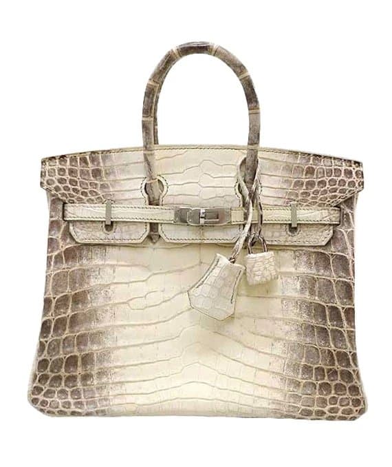 Hermès 2015 Birkin 25 Himalaya Handbag in Niloticus Crocodile Leather with Palladium Hardware