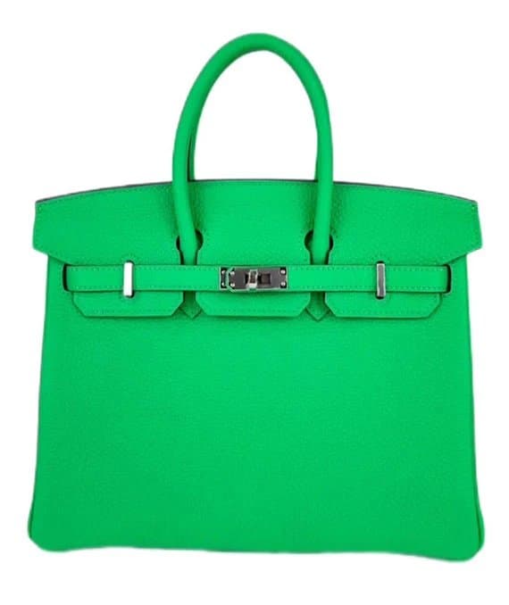Hermès 2023 Birkin 25 Vert Comics Color Handbag in Togo Leather with Palladium Hardware