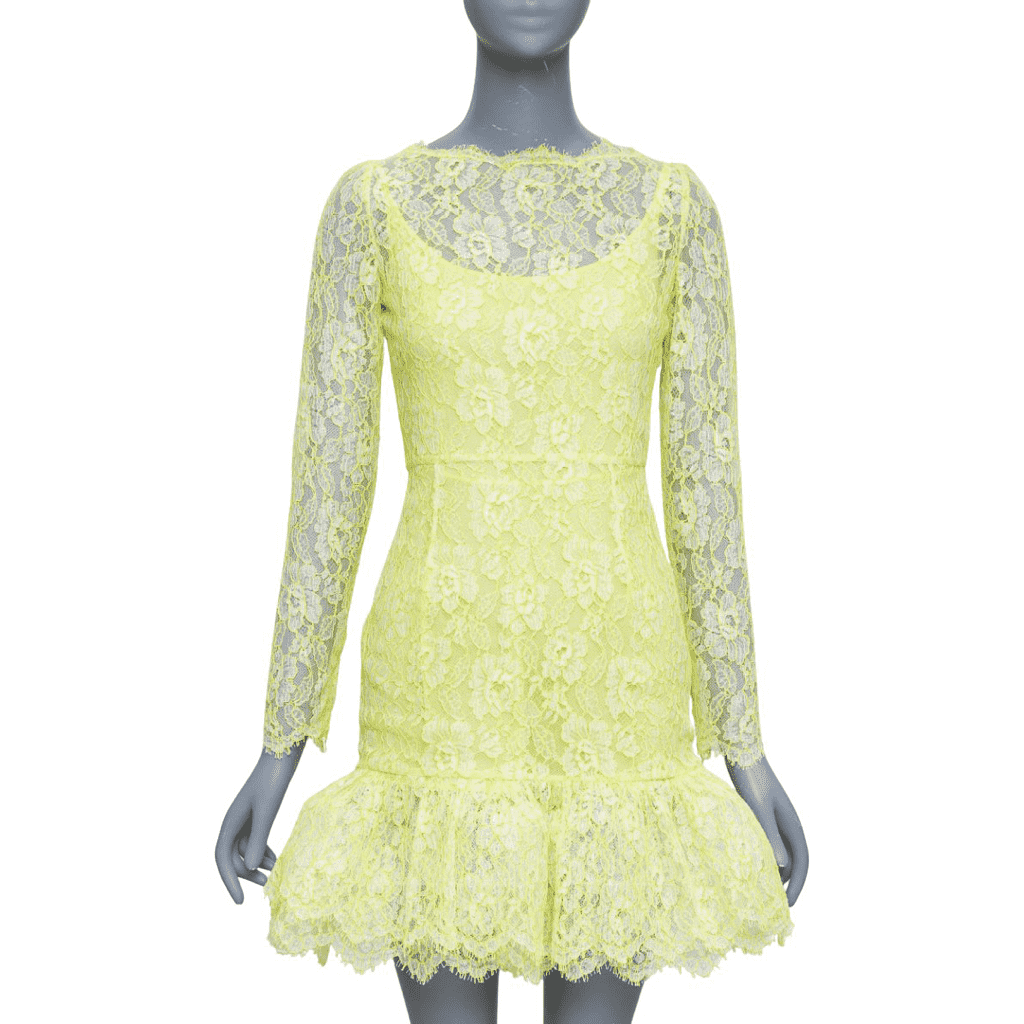 Valentino Lace Tulle Mini Dress