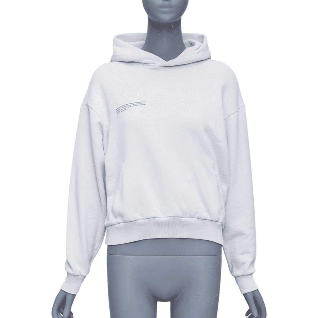 The Pangaia Hoodie Set of 2