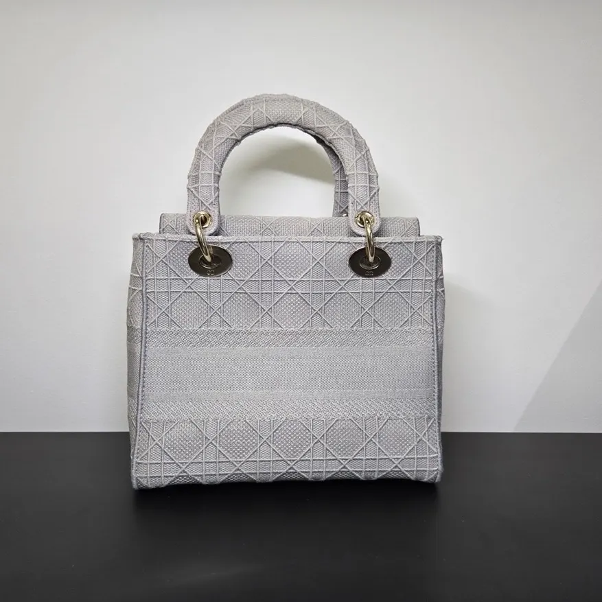 Dior Lady D-Lite Grey Canvas Good - Back View