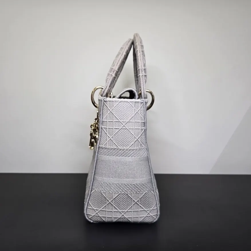 Dior Lady D-Lite Grey Canvas Good - Model View