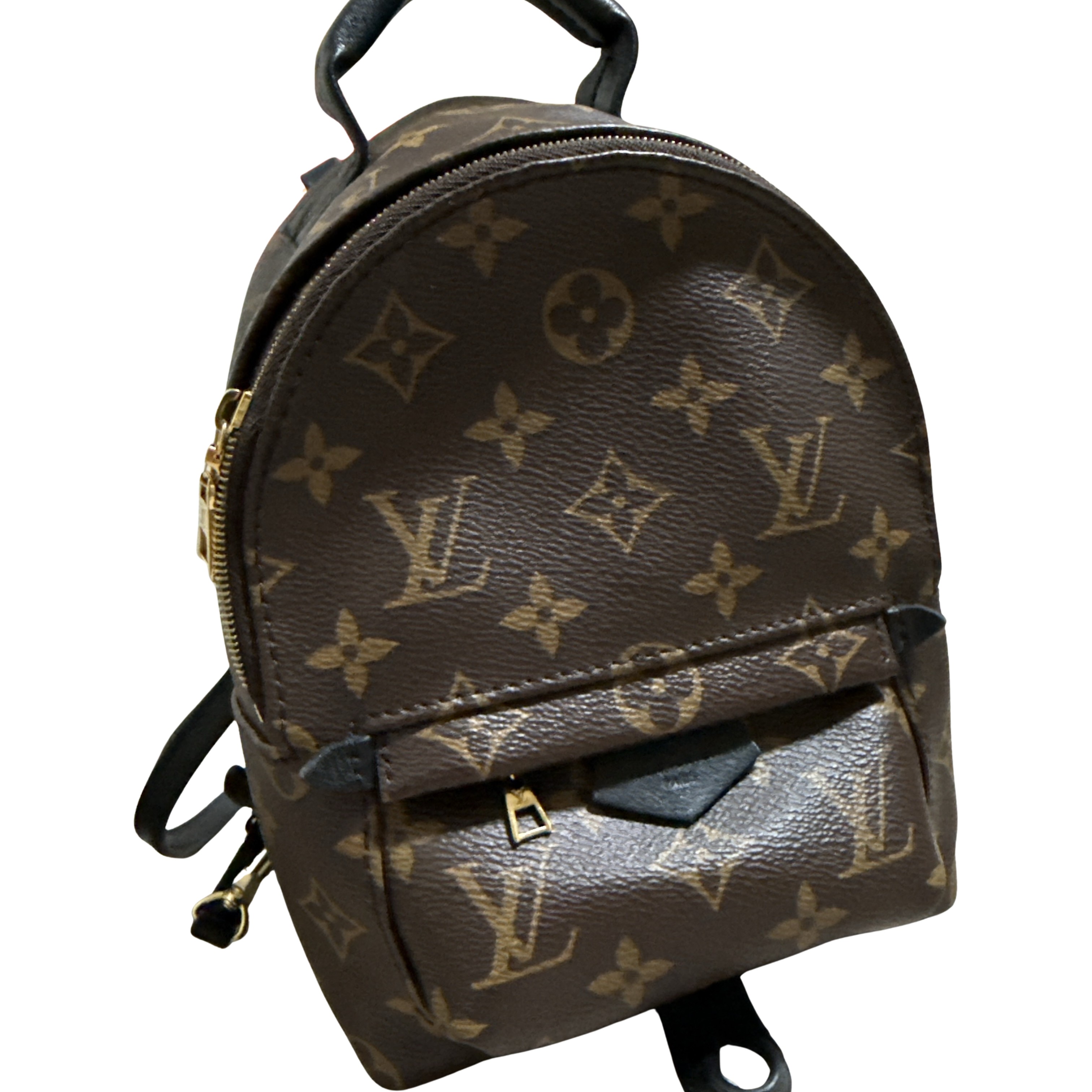 Louis Vuitton Palm Spring Mini