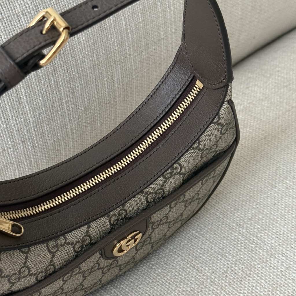 Gucci Ophidia Bag - 4
