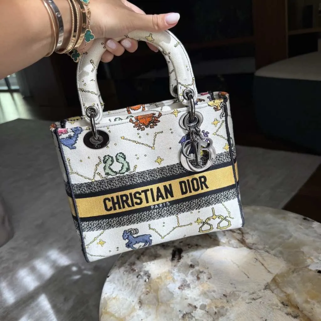 Dior Lady Dior MultiColor Cotton Silver Very good - Back View