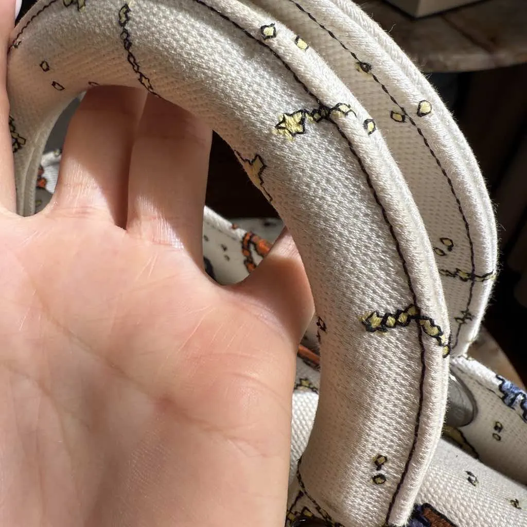 Dior Lady Dior MultiColor Cotton Silver Very good - Model View