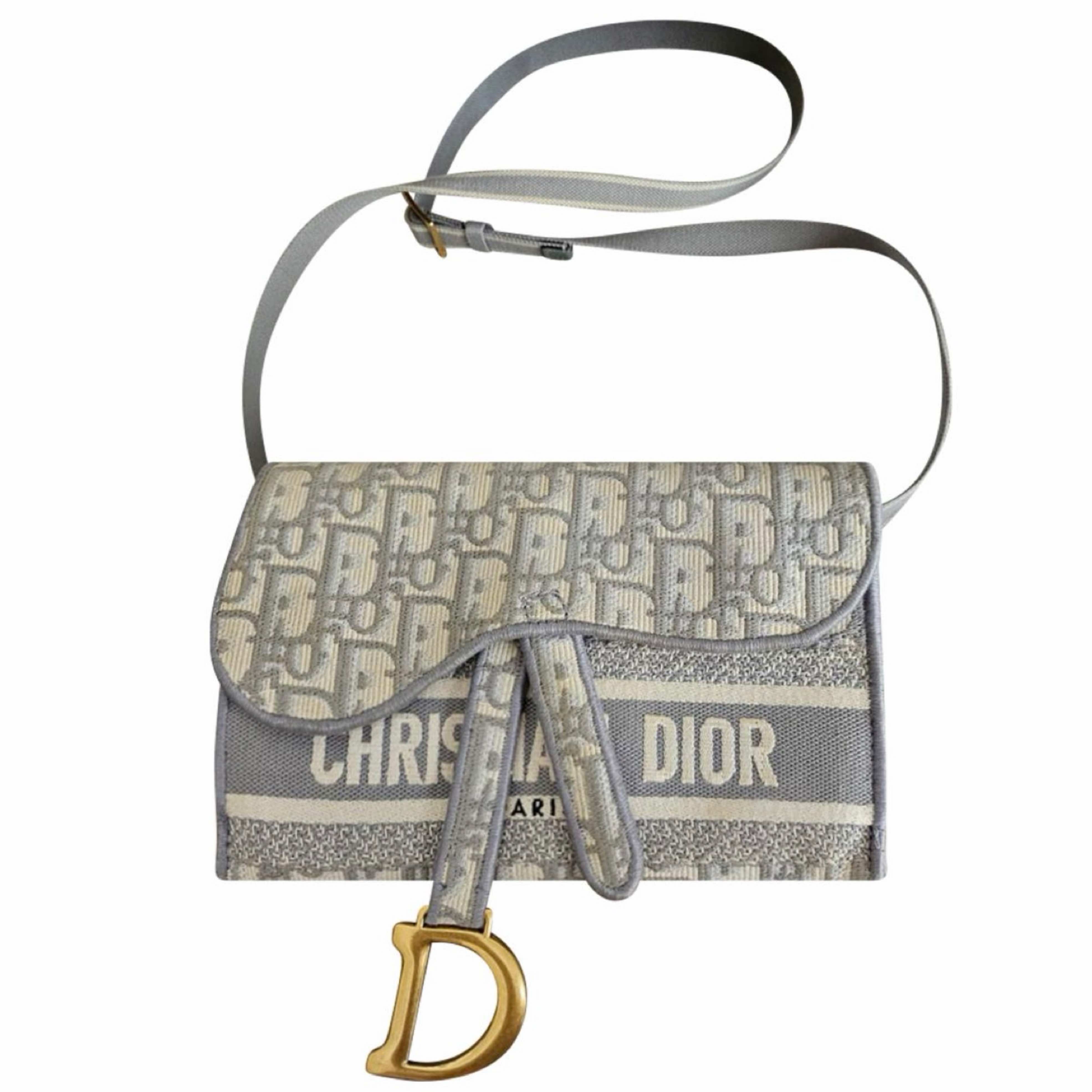 Christian Dior Saddle Belt/Crossbody Bag
