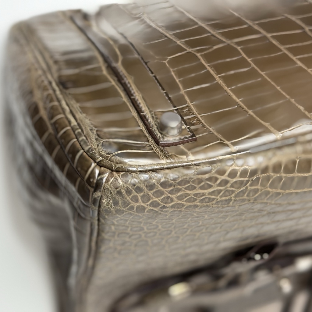 Hermès Birkin 35 Crocodile - Detail 2