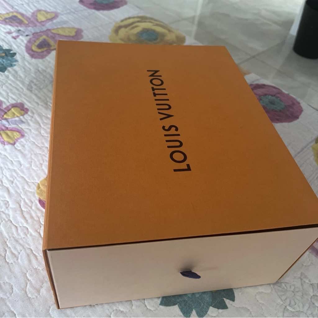 Louis Vuitton LV squad sneakers boot - Image 11