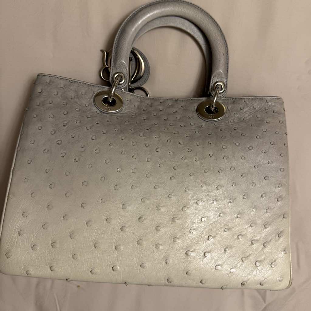 Christian Dior White And Gray Ostrich - Back view