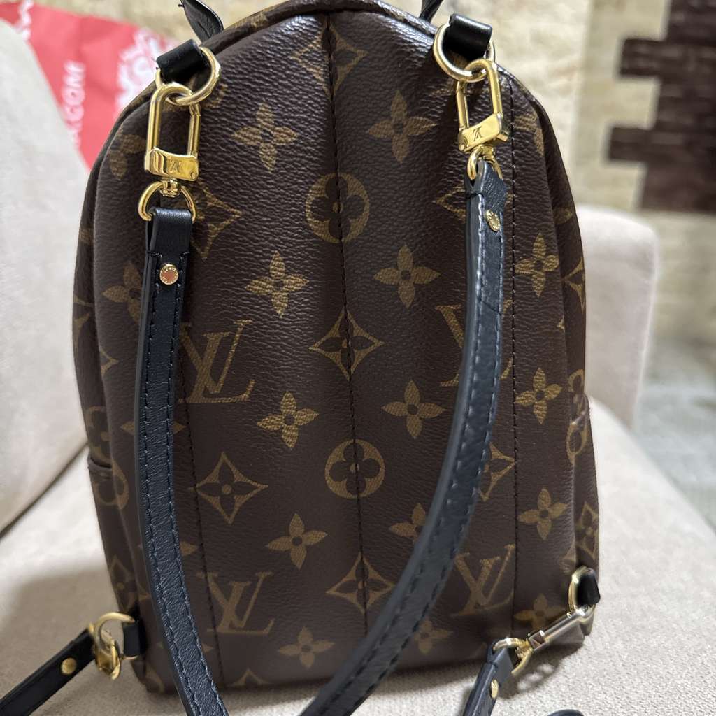 Louis Vuitton Palm Spring Mini - Back view