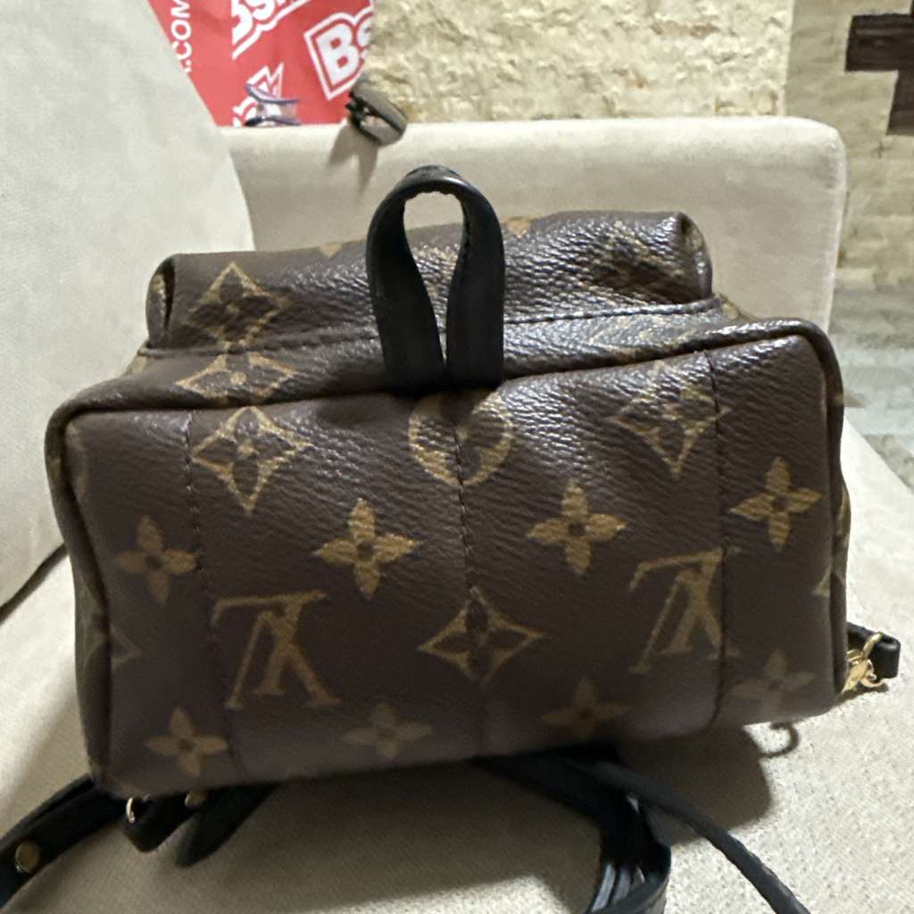 Louis Vuitton Palm Spring Mini - Image 6