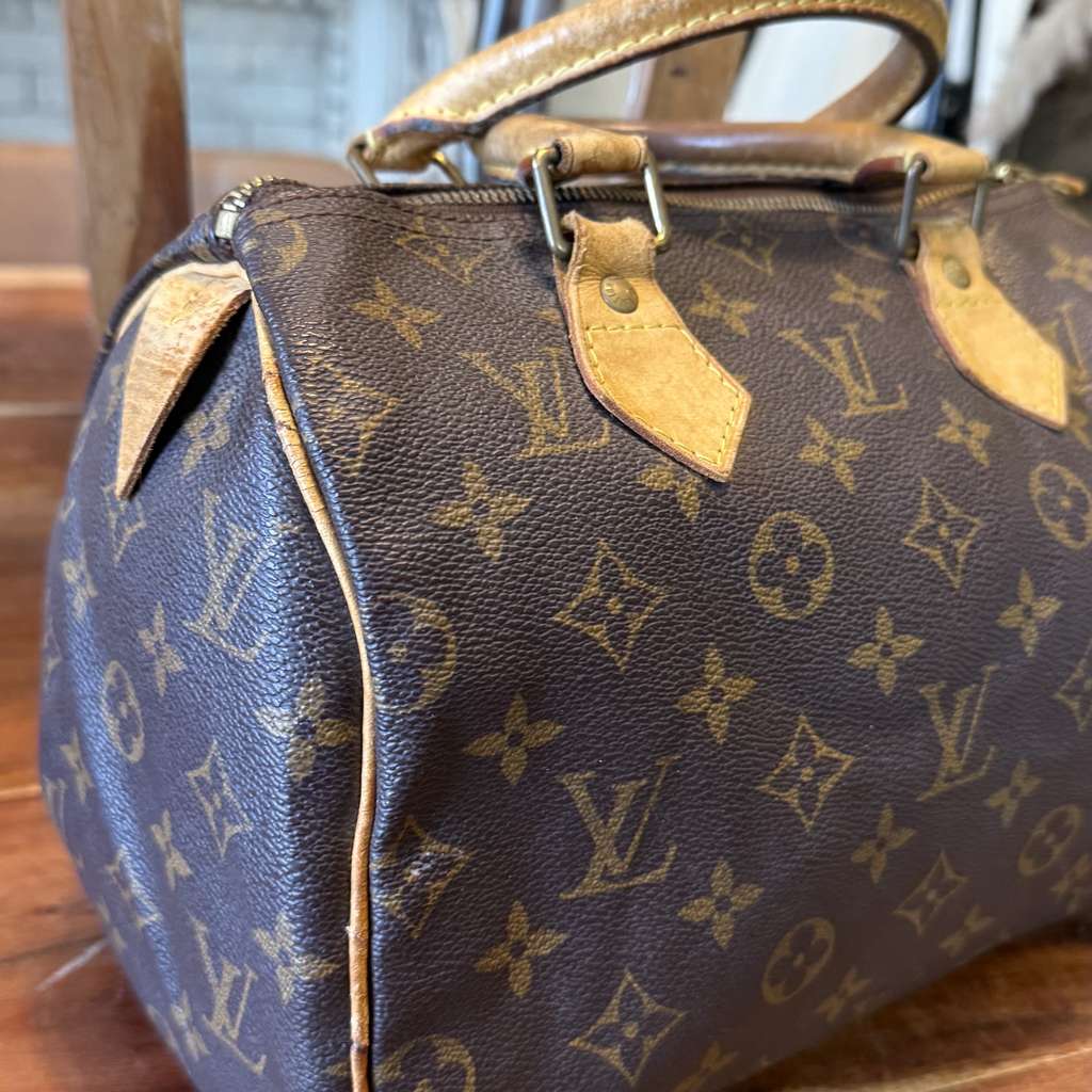 Louis Vuitton Speedy 25 - Back view