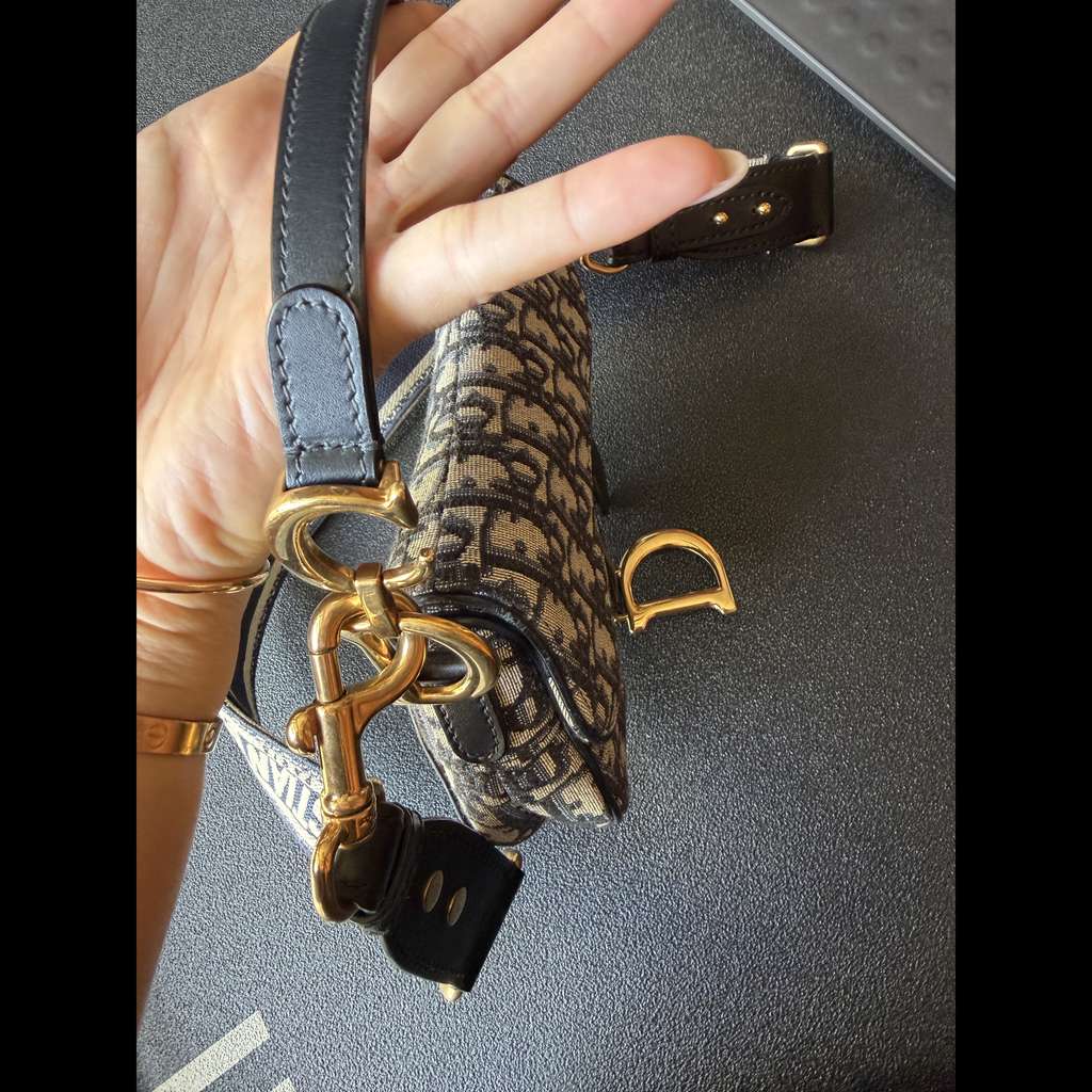 Dior Saddle Mini - 4
