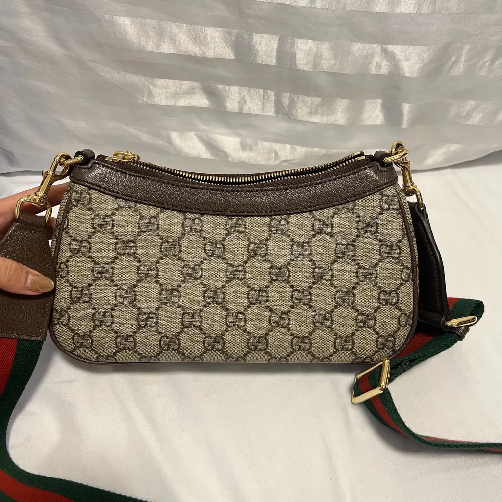 Gucci Ophidia Small Handbag Brown Canvas Very good - Back View