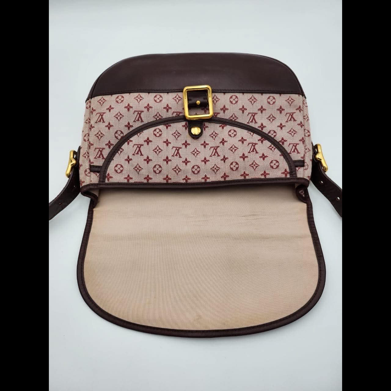 Louis Vuitton Mini Lin Marjorie Shoulder - 5