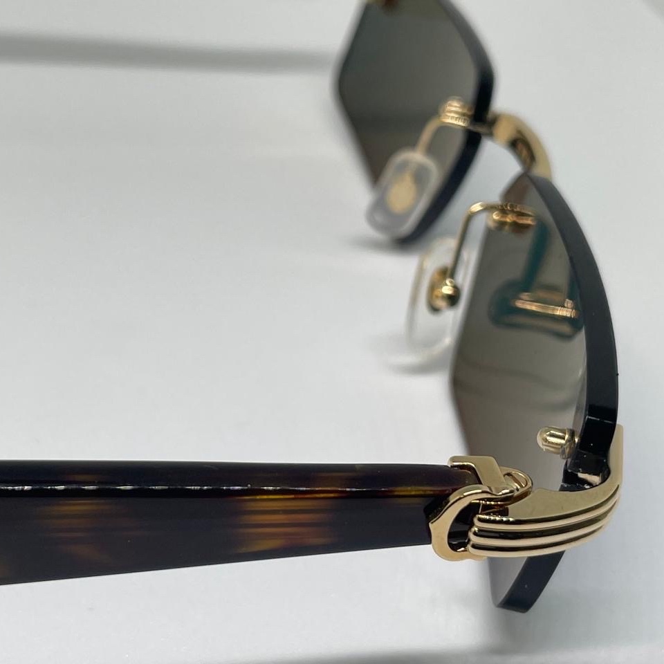 Cartier Cartier 2026 Brand New Brown Never worn, with tag - Model View