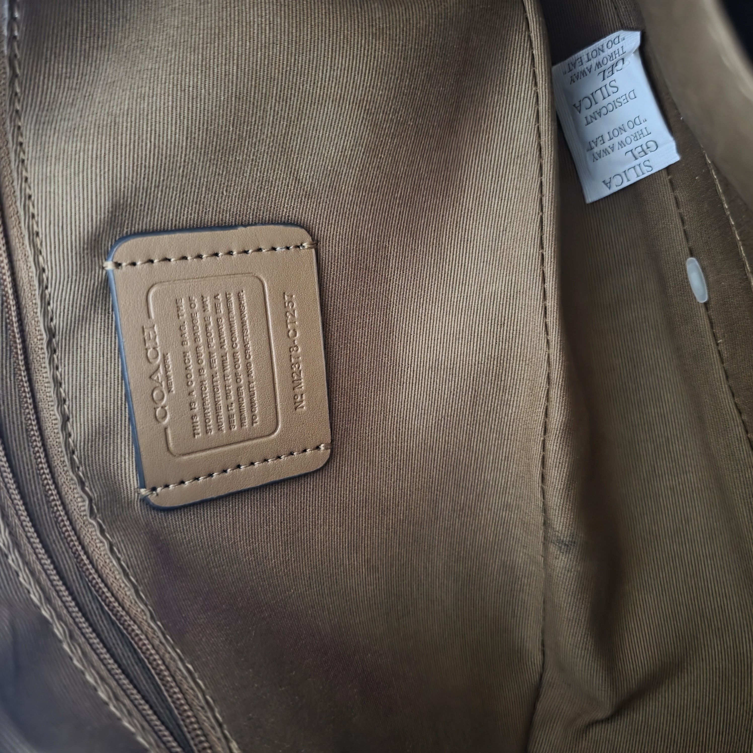 Coach Coach Teri Hobo Bag Beige Good condition - Model View