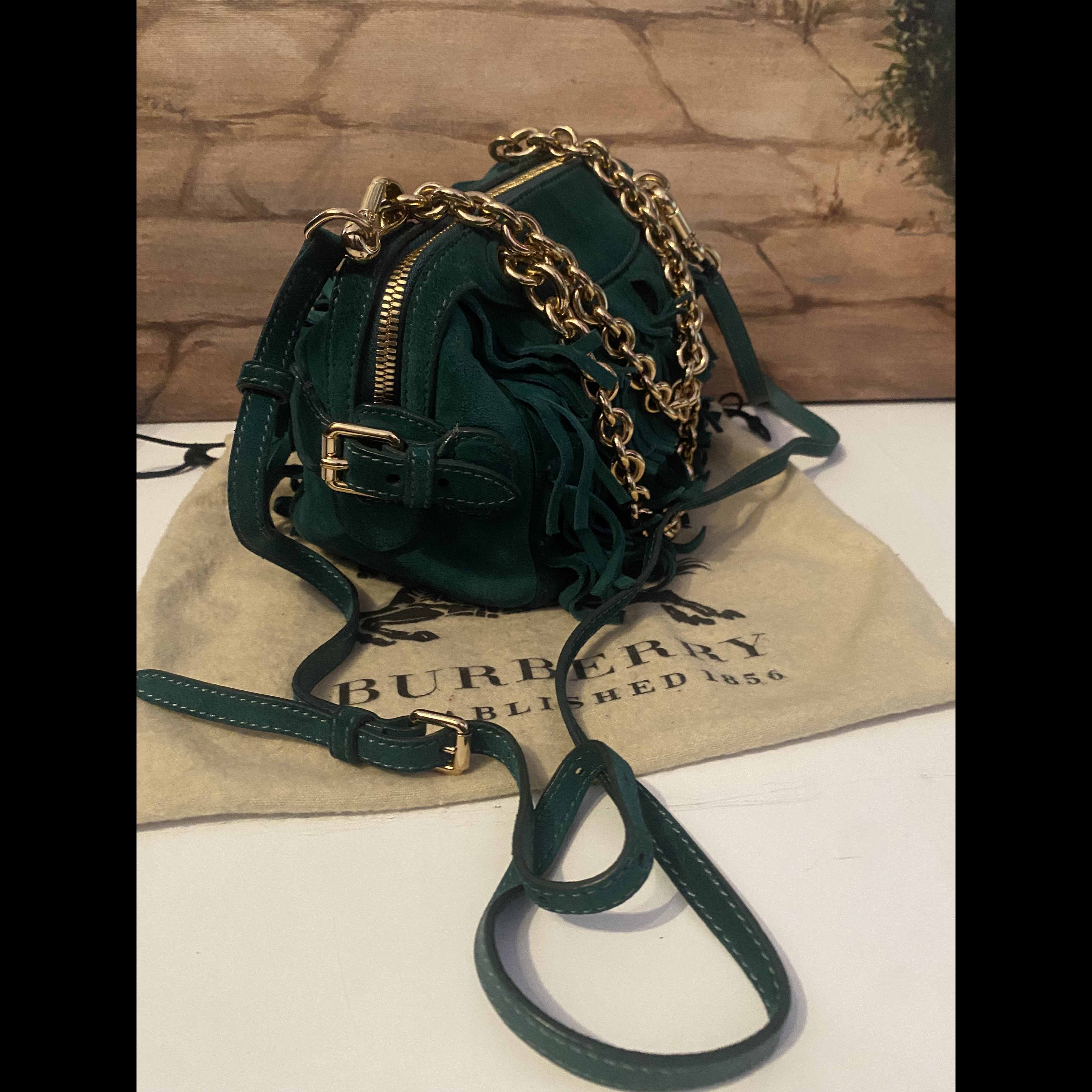 Burberry Burberry Mini Bee Bag Green Suede Very good condition - Back View