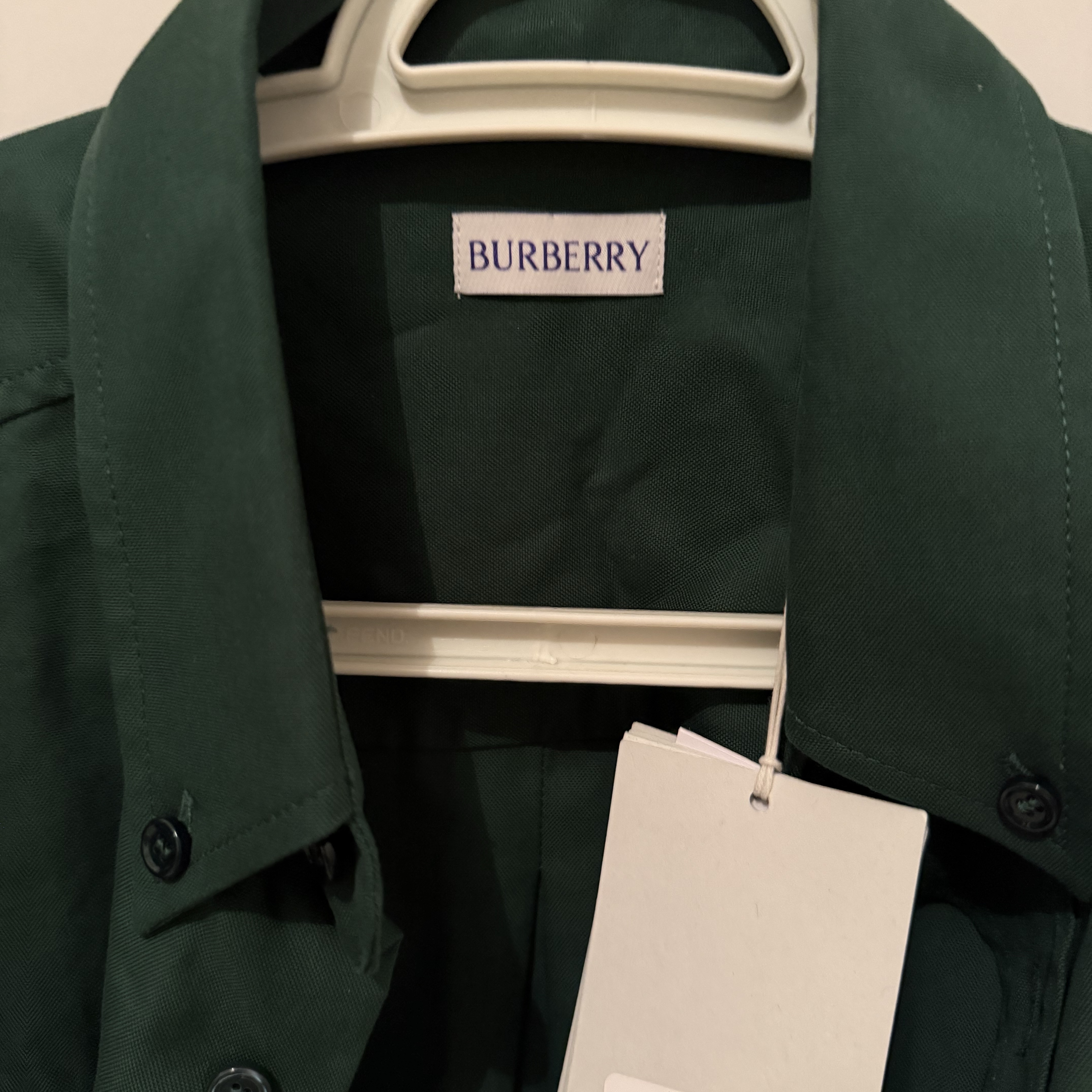Burberry Shirt Brand New Green Cotton Never worn, with tag - Model View