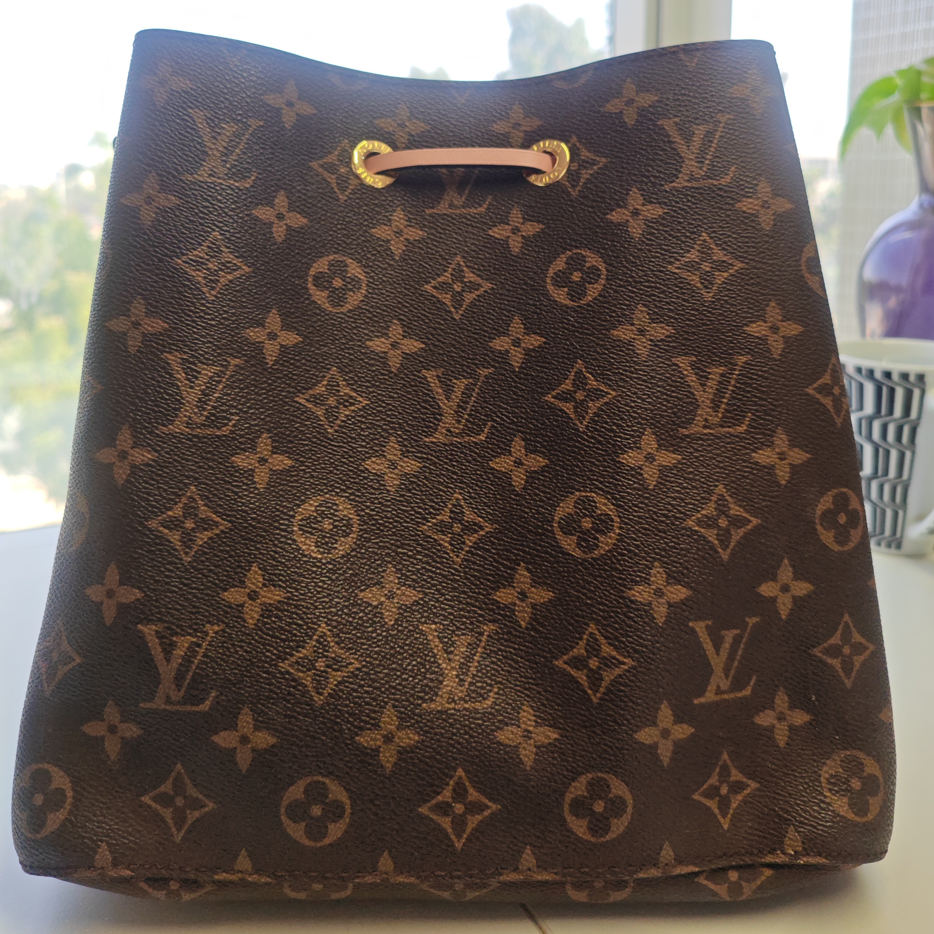 Louis Vuitton Neionoe Brown Canvas Good condition - Back View