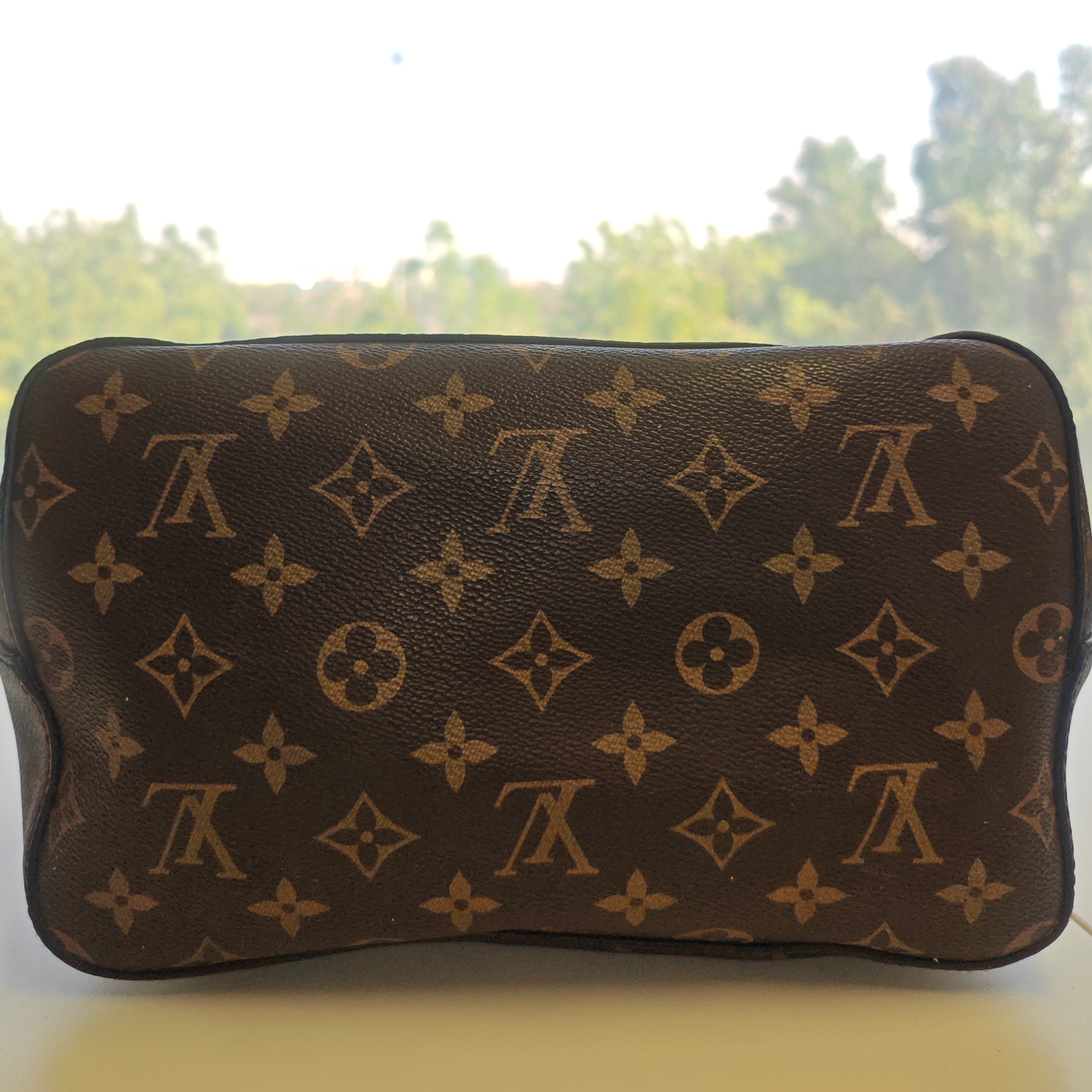 Louis Vuitton Neionoe Brown Canvas Good condition - Inside View