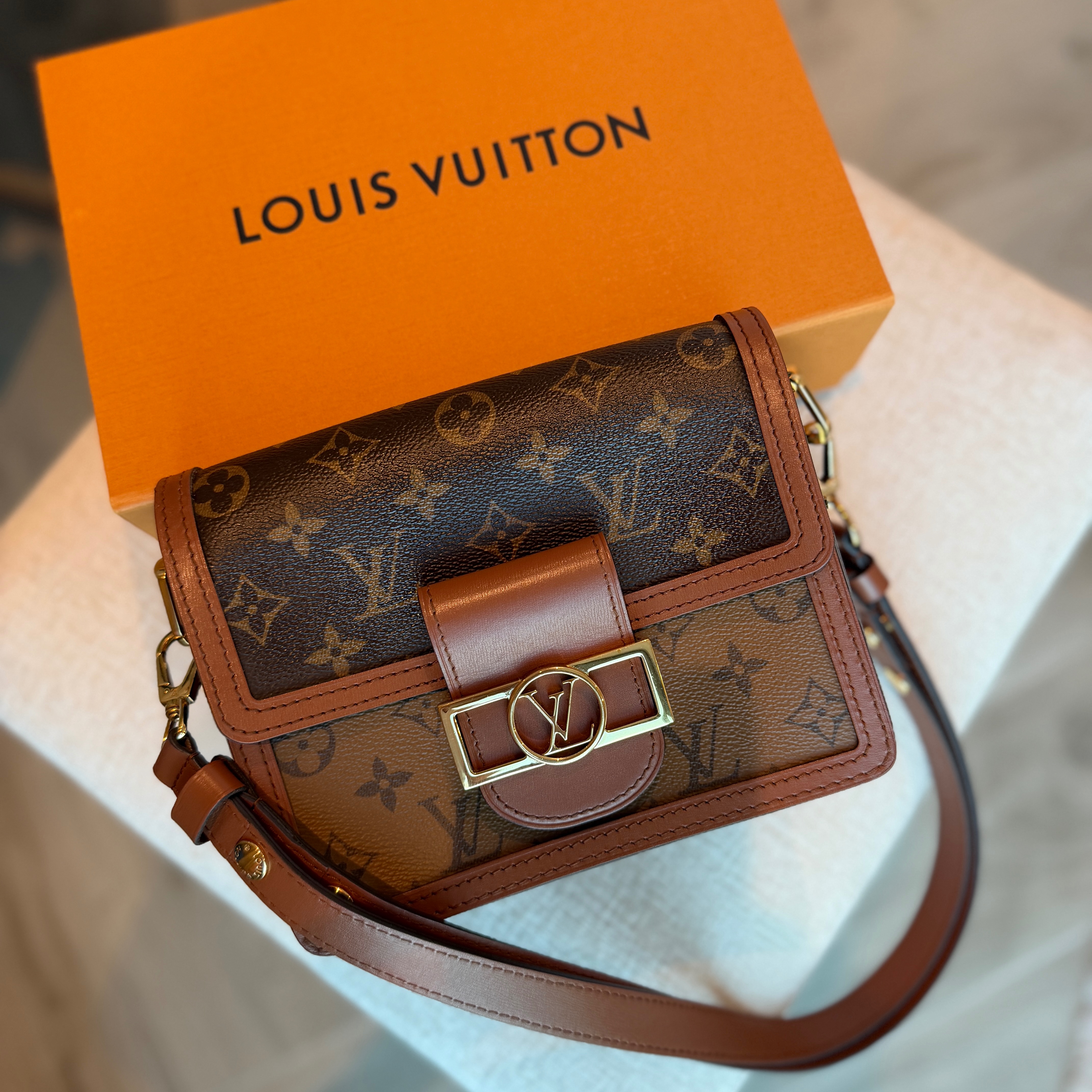 Louis Vuitton Dauphine Mini Bag Brown Leather Good - Box View