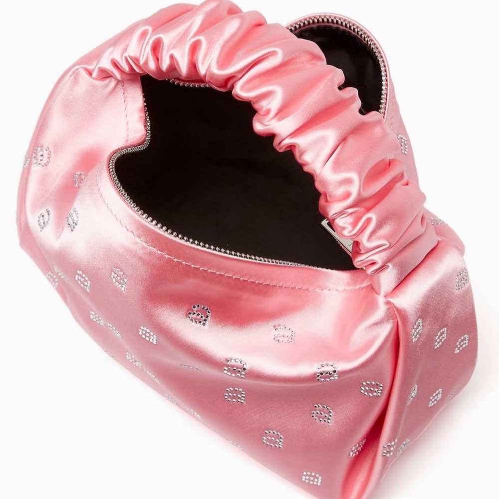 Alexander Wang Scrunchie Mini Bag - Detail 2