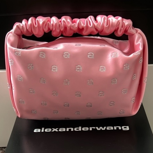 Alexander Wang Scrunchie Mini Bag - Image 10