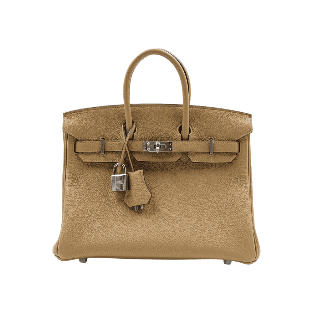 Hermès Birkin 25