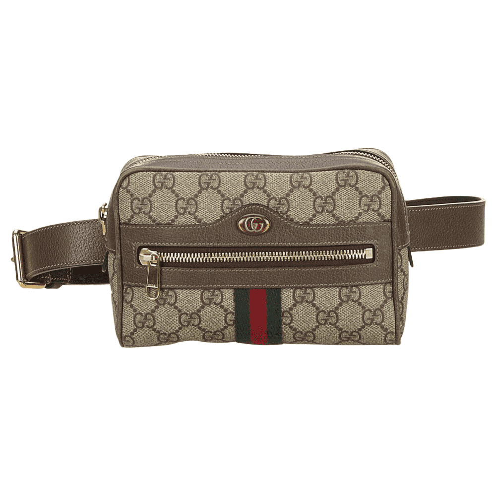 Gucci Ophidia Supreme Belt bag