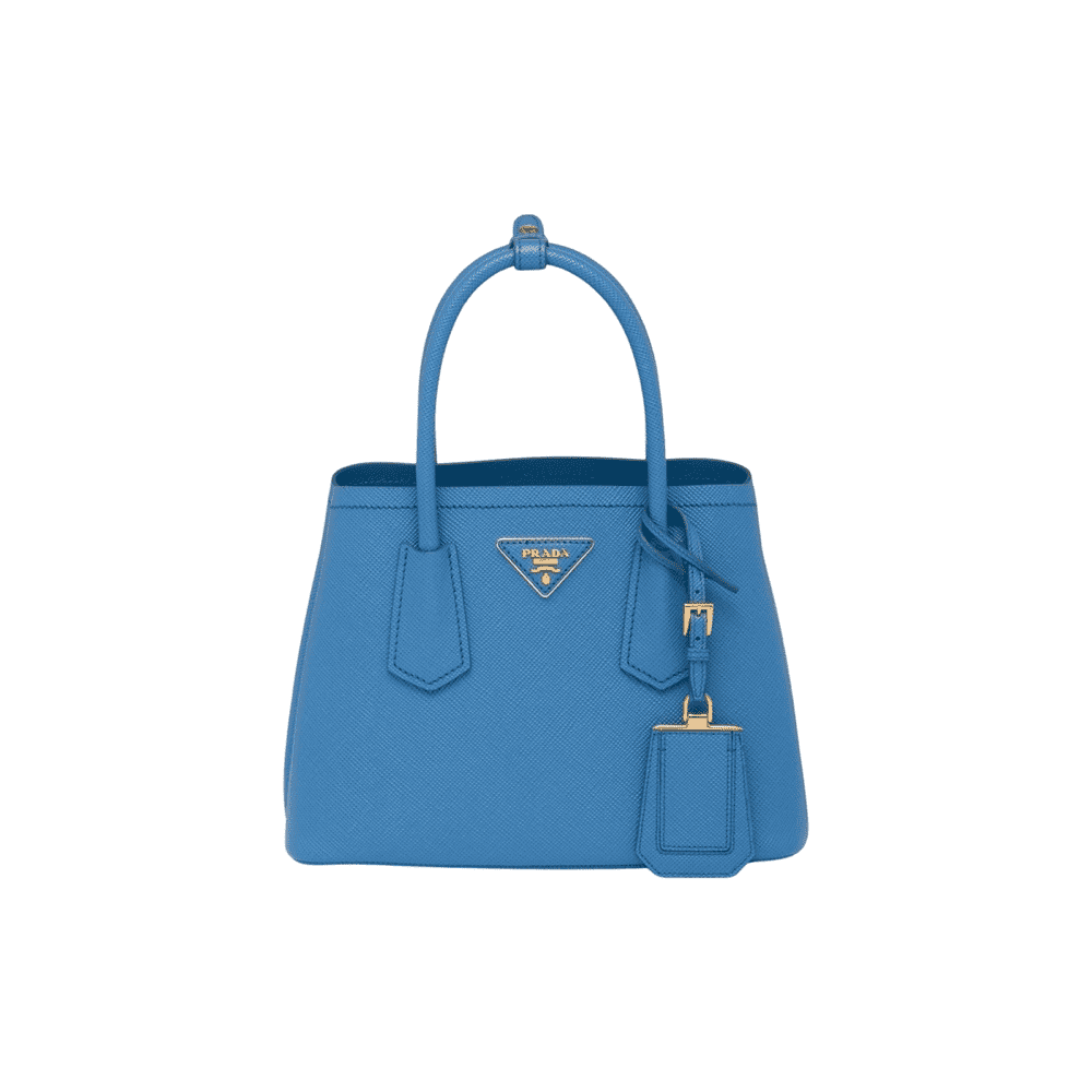 Prada Double mini
