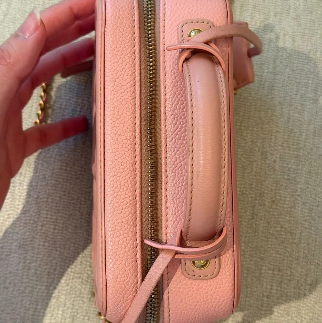 Chanel Vanity Case Pink Leather Very good - Back View
