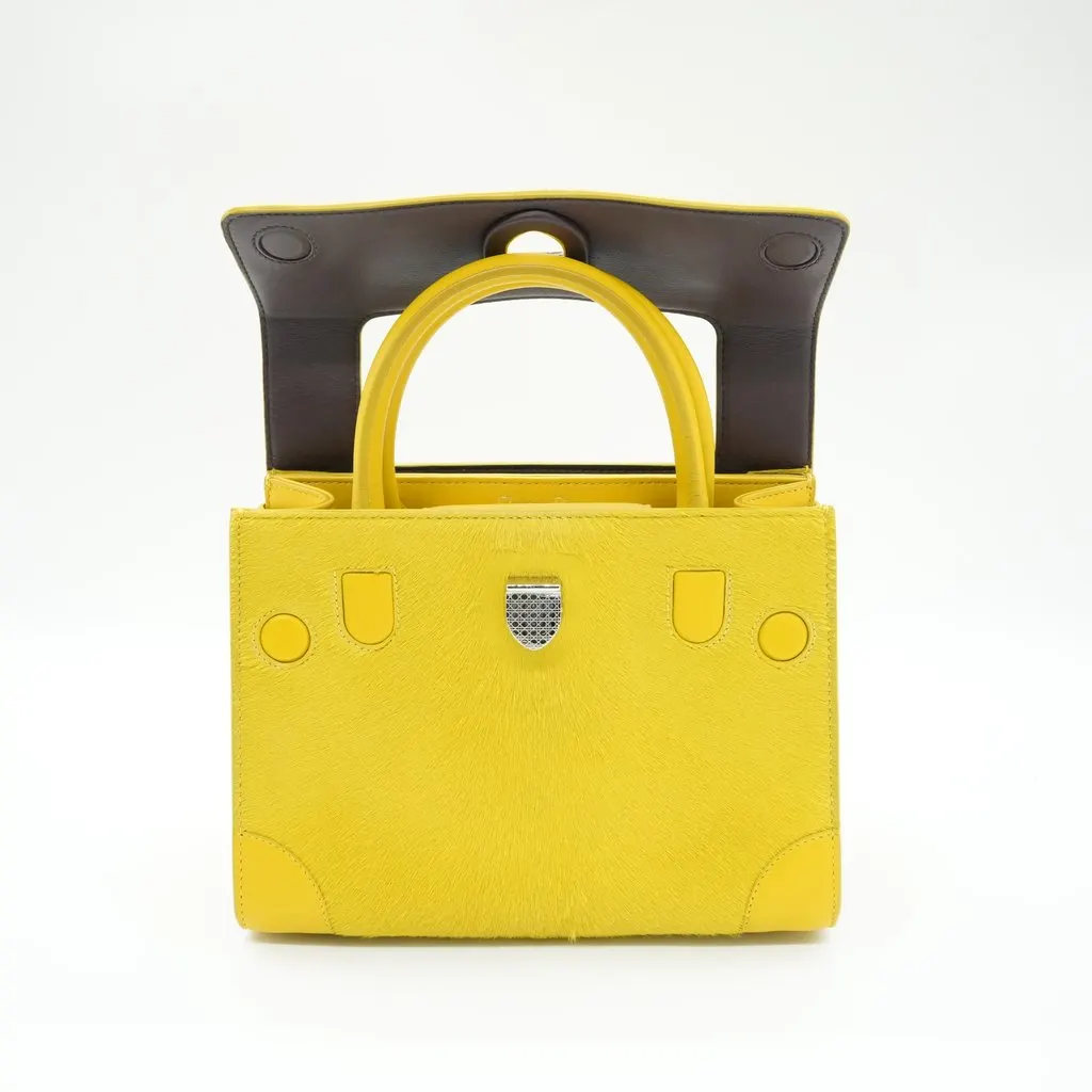 Dior Diorever Mini Bag Cowhide Leather Yellow Yellow Leather Fair - Box View