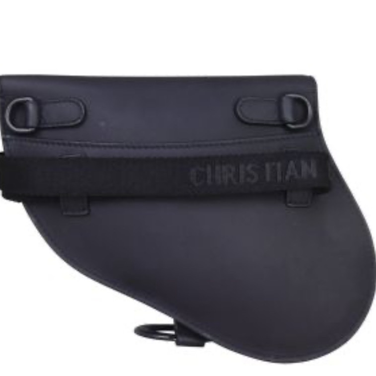 Dior Saddle Bag - Back view