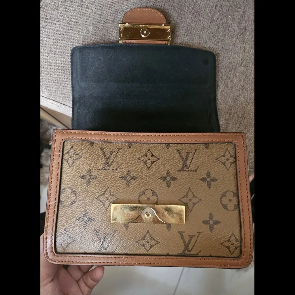 Louis Vuitton Dauphine MultiColor Leather Good - Back View
