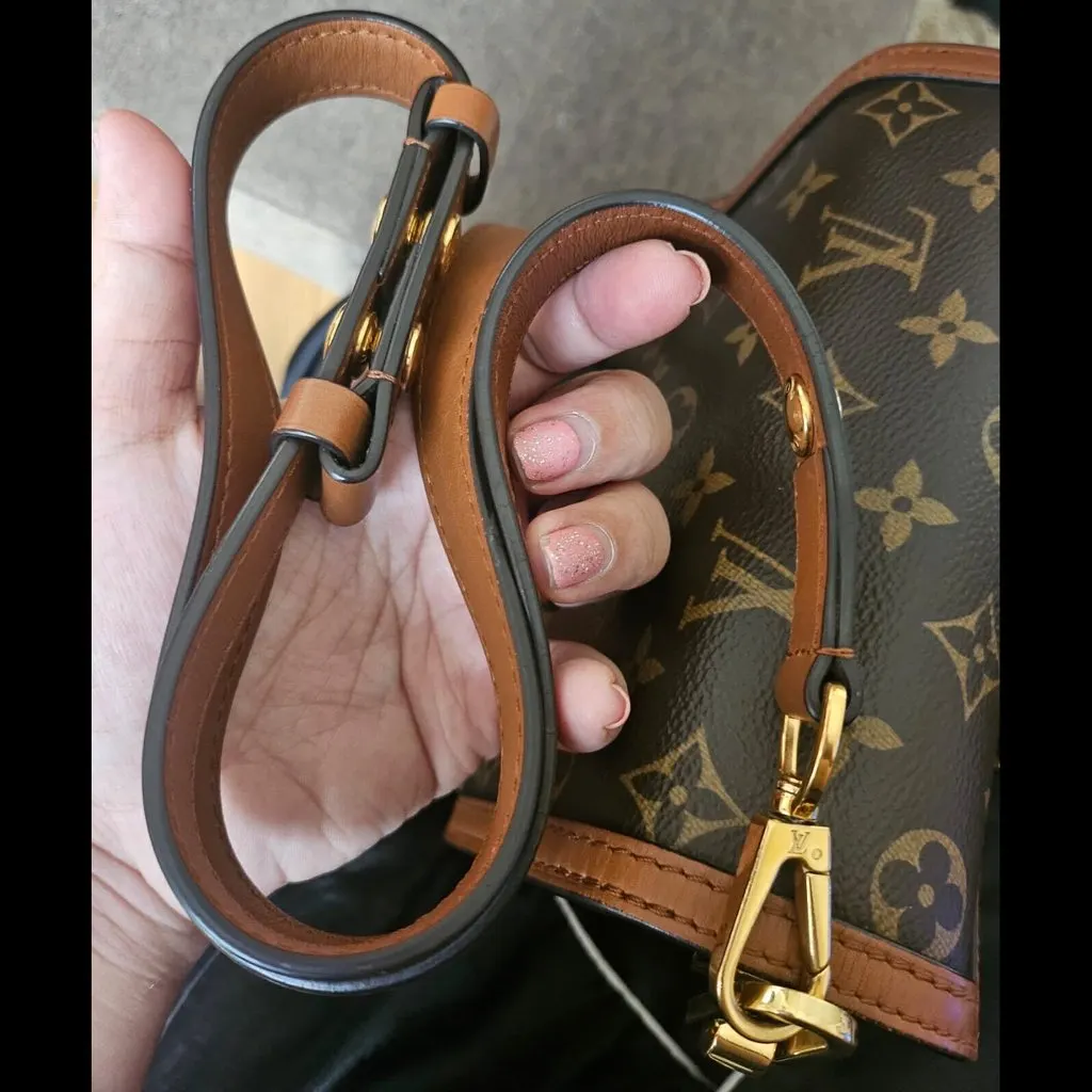 Louis Vuitton Dauphine MultiColor Leather Good - Inside View