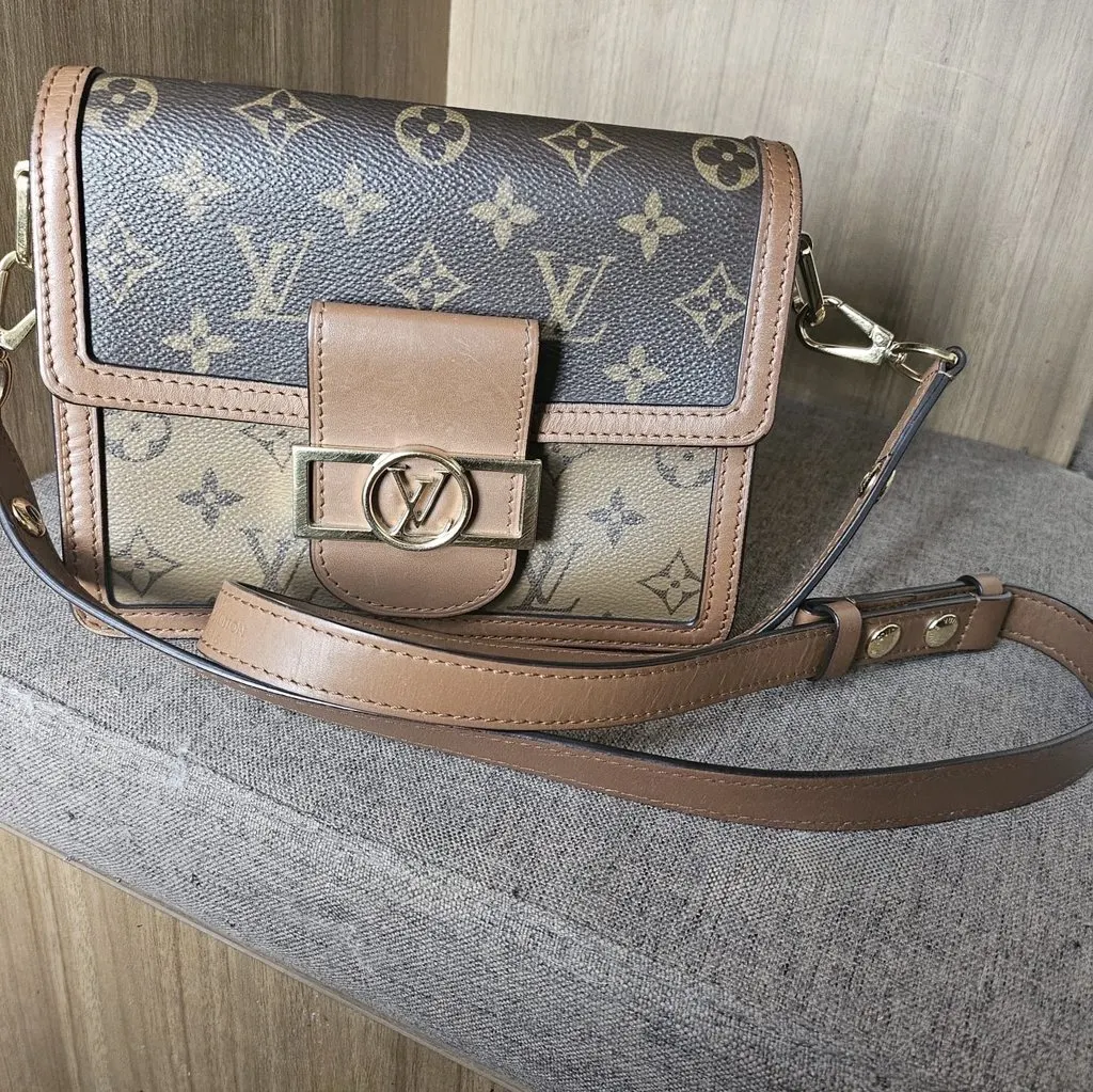Louis Vuitton Dauphine MultiColor Leather Good - Box View