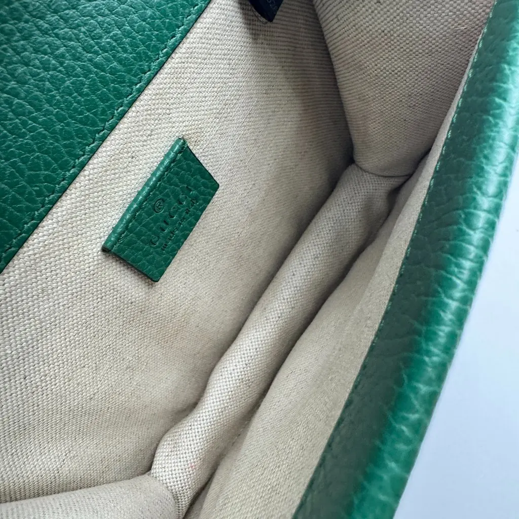 Gucci Dionysus Green Leather Very good - Model View