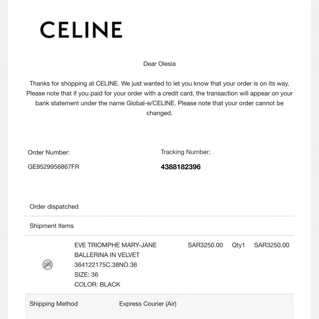 Celine Mary jane Black Velvet Very good - Model View