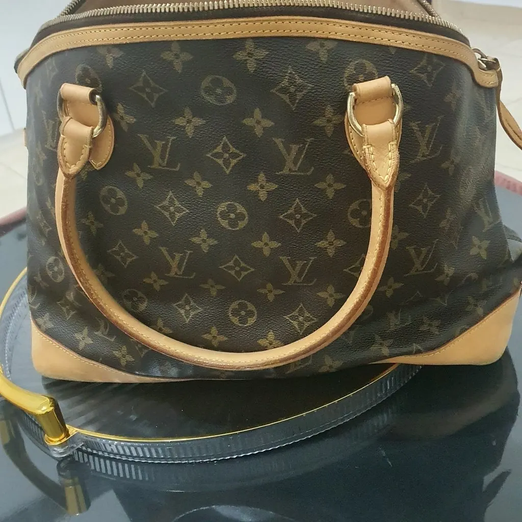 Louis Vuitton Cannes Brown Canvas Very good - Back View