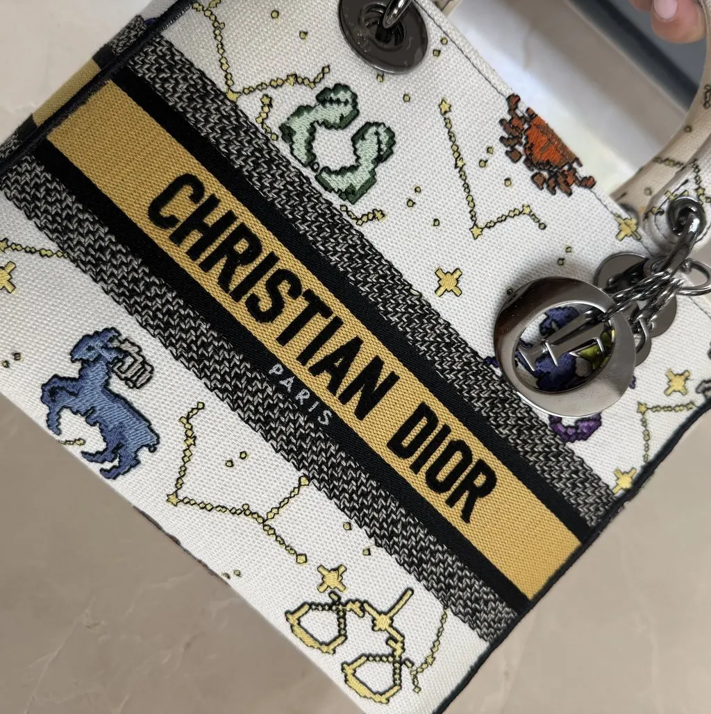 Dior Lady Dior MultiColor Cotton Silver Very good - Model View