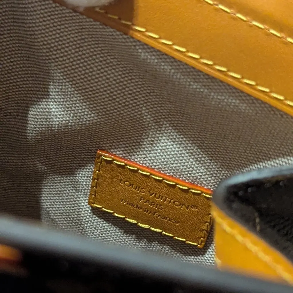 Louis Vuitton Milkbag Brown Canvas Never worn, with tag - Model View